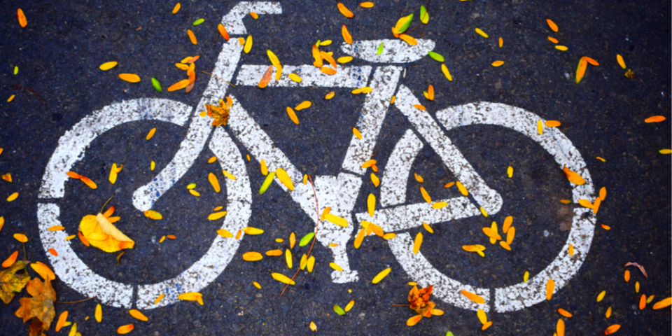 bike with autumn leaves