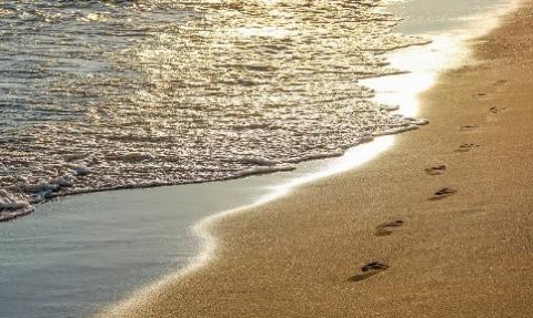 seashore