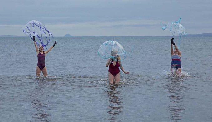 international women's day fundraiser wild swimmers